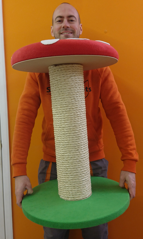 Large Toadstool Cat Scratching Post | ScratchyCats