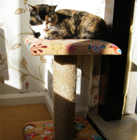 Value Cat Scratching Post with Platform