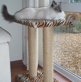 Large Twin Cat Scratching Post With Platform