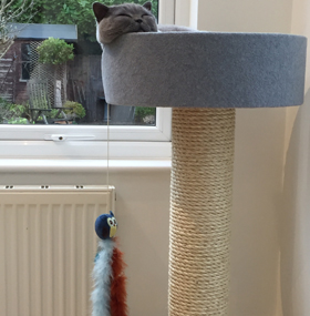 Giant Cat Scratching Post with Large Bed